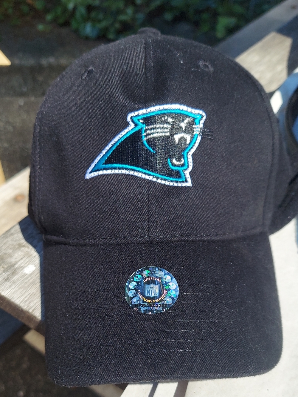 NFL Carolina Panthers Black Teal Logo Baseball Cap